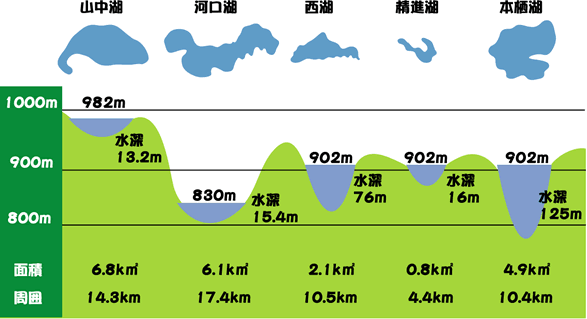 雑学 富士山のお膝元 富士五湖 の成り立ちや歴史 ランキングをご紹介 観光 旅行のお供にどうぞ 旅狼 たびろう どっとこむ