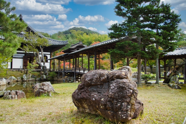 【京都駅周辺・東山・祇園】おすすめの紅葉名所をランキング！時期と見頃・ライトアップ・予約情報など_高台寺