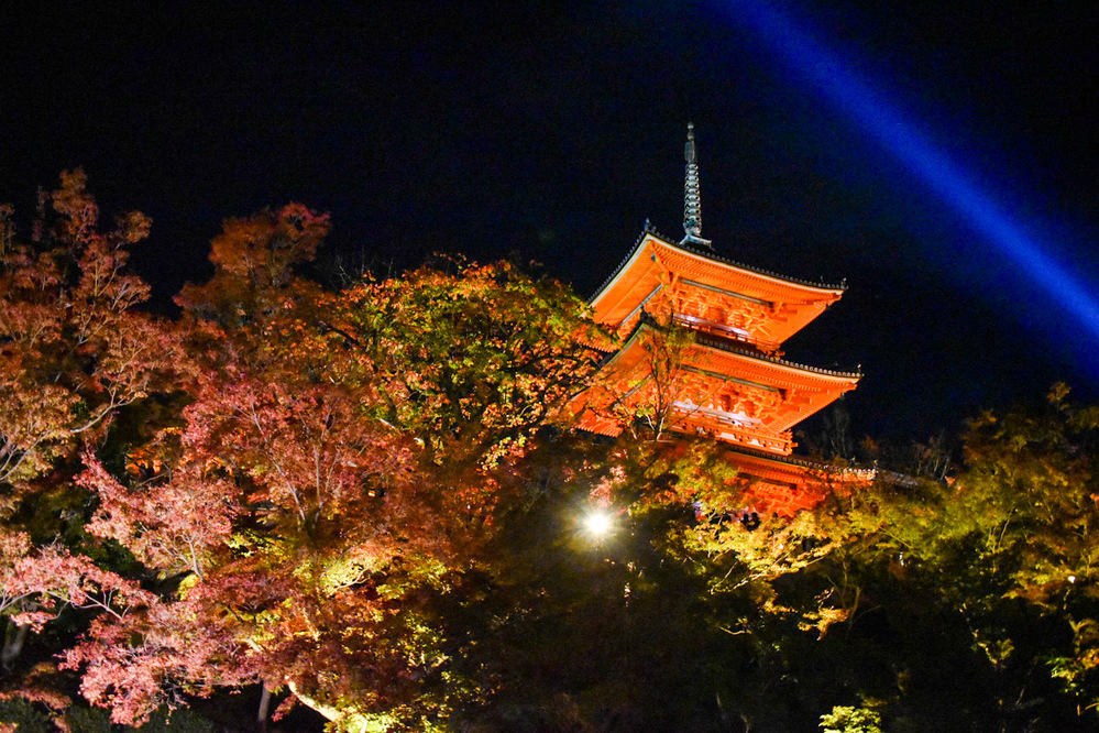 京都駅周辺・東山・祇園エリアおすすめの紅葉名所をランキング！時期と見頃・ライトアップ・予約情報など_清水寺のアクセスなど