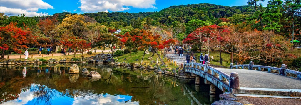 京都駅周辺・東山・祇園エリアおすすめの紅葉名所をランキング！時期と見頃・ライトアップ・予約情報など_円山公園の見どころ