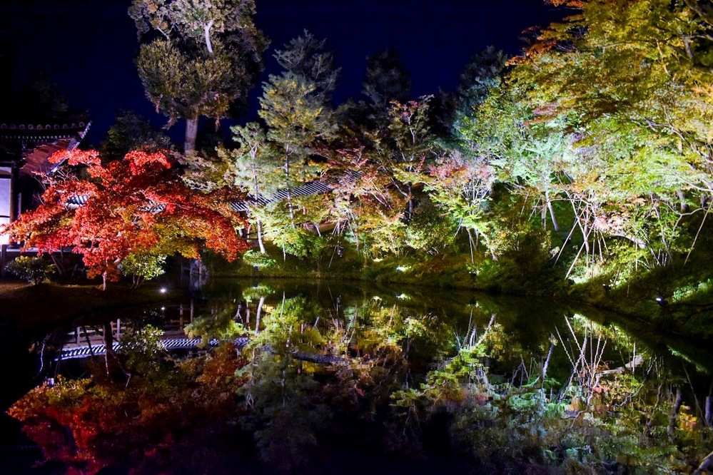 【京都駅周辺・東山・祇園】おすすめの紅葉名所をランキング！時期と見頃・ライトアップ・予約情報など_高台寺と圓徳院