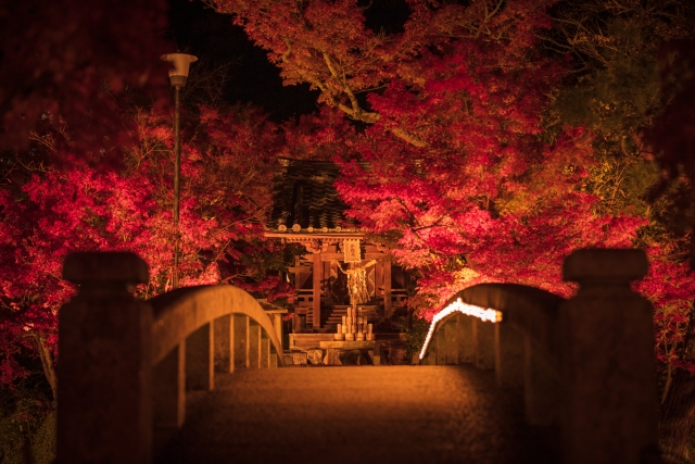 南禅寺・永観堂周辺のおすすめ紅葉名所｜拝観時間・料金・アクセス・見どころ_禅林寺永観堂の秋のライトアップ