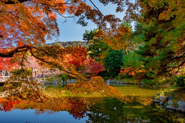 京都駅周辺・東山・祇園エリアおすすめの紅葉名所をランキング！時期と見頃・ライトアップ・予約情報など_円山公園の開場時間・料金・アクセス・駐車場