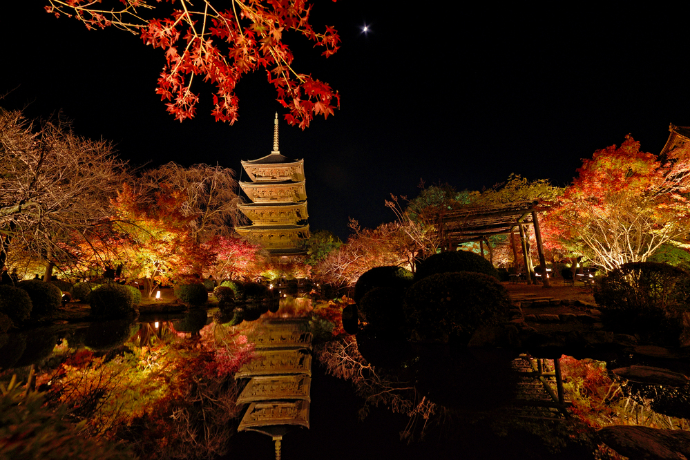 京都駅周辺・東山・祇園エリアおすすめの紅葉名所をランキング！時期と見頃・ライトアップ・予約情報など_東寺の営業時間・拝観料・特別拝観・アクセスなど