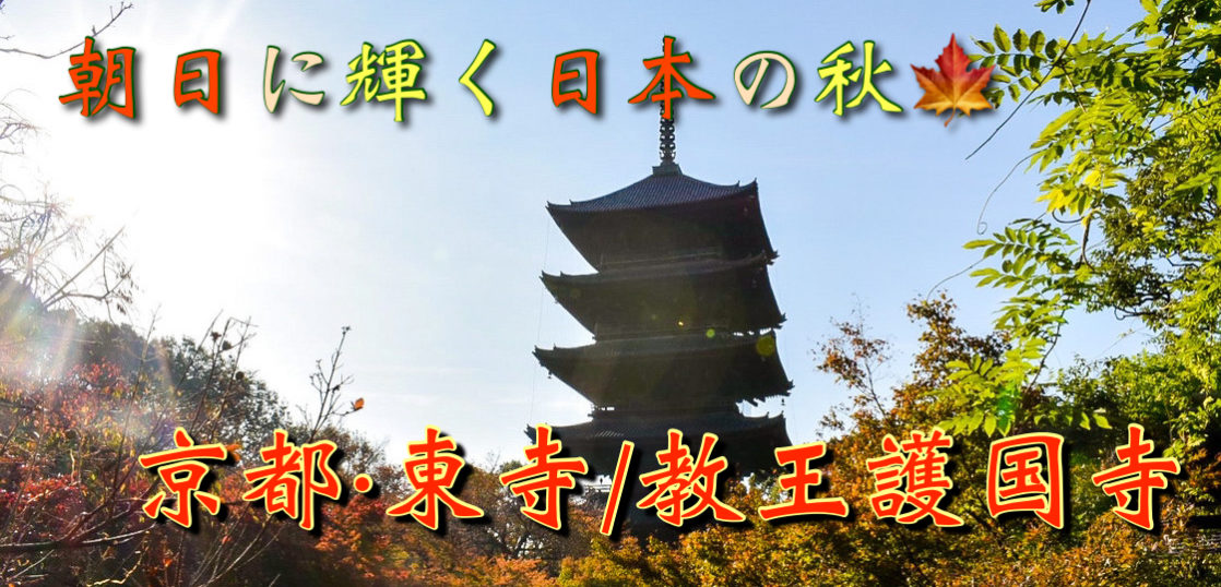 京都紅葉21 東寺の秋の魅力を大紹介 近年話題の観光名所です 旅狼 たびろう どっとこむ