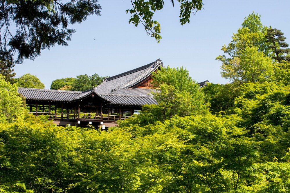 秋の京都観光_紅葉の名所「東福寺」の見どころ_春夏の通天橋