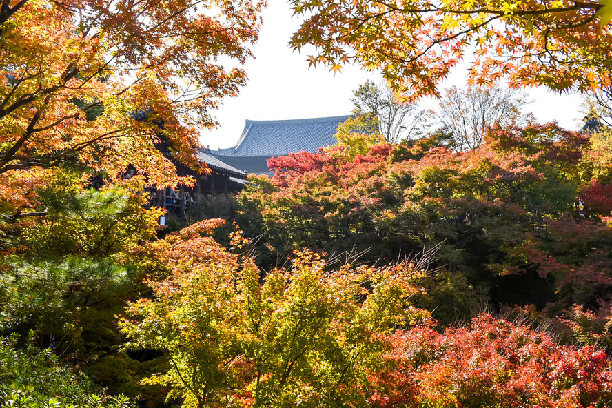 秋の京都観光_紅葉の名所「東福寺」の見どころ_通天橋