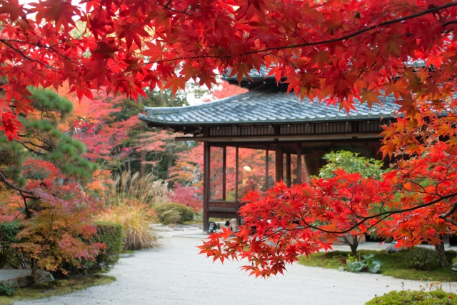 天授庵の見どころ・拝観料金・ライトアップ・アクセスまとめ｜南禅寺にある紅葉の穴場名所_見頃・時期