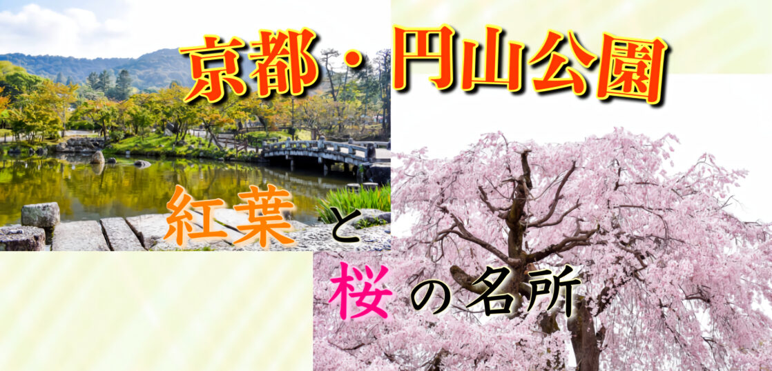 京都旅行21 円山公園の観光案内 桜と紅葉の名所として知られる関西屈指の名勝です 旅狼どっとこむ