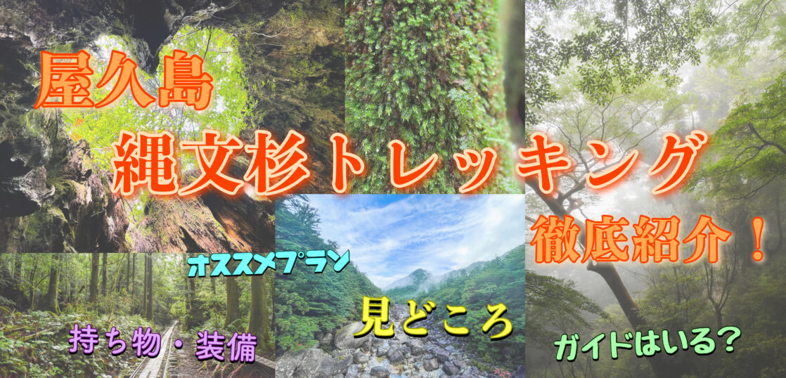 屋久島 縄文杉トレッキングの見どころ ツアーはいる 時間 行き方 服装 旅狼 たびろう どっとこむ