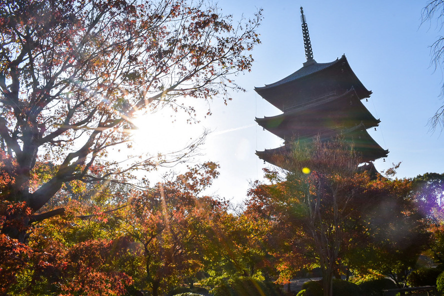 京都観光-東寺(教王護国寺)の見どころと歴史_平安時代の建立と空海の真言密教